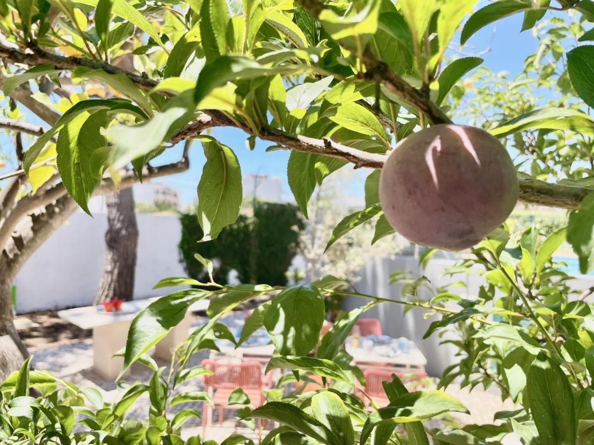 Charm Of The Algarve, Luxury Guesthouse Adults Only Olhão Zewnętrze zdjęcie